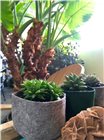 Pot géotextile gris spécial succulentes 12,7x7,62 cm 1,5 litre