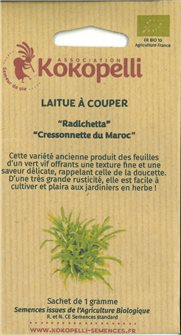 Graines de Laitue Radichetta / Cressonnette du Maroc